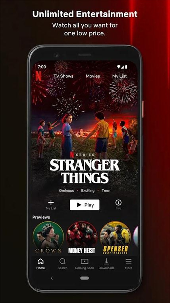 netflixapp安卓版netflixandroidtv-第1张图片-太平洋在线下载