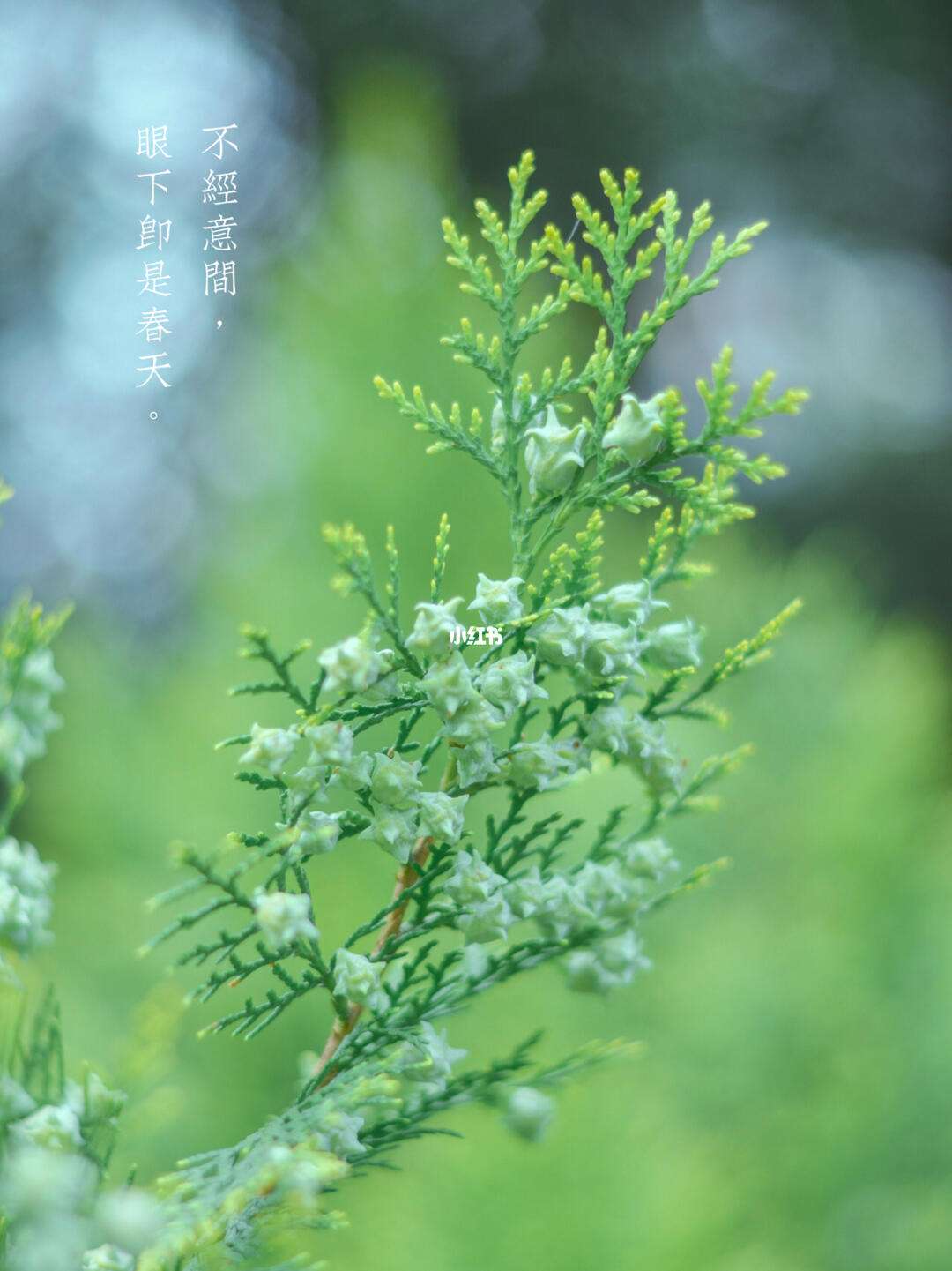 春天的气息手机版歌词你喜欢海风咸咸的气息歌词完整版-第2张图片-亚星国际官网