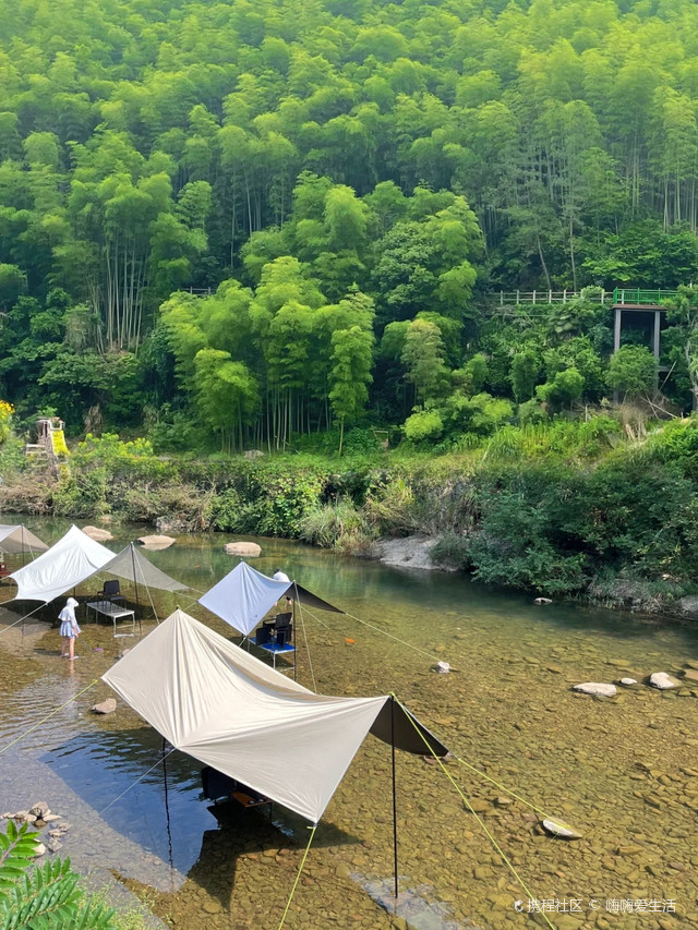 桐庐旅游安卓版桐庐二日游线路安排-第2张图片-亚星国际官网