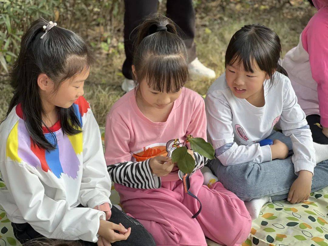 玩校苹果版学浪苹果电脑版下载-第1张图片-太平洋在线下载