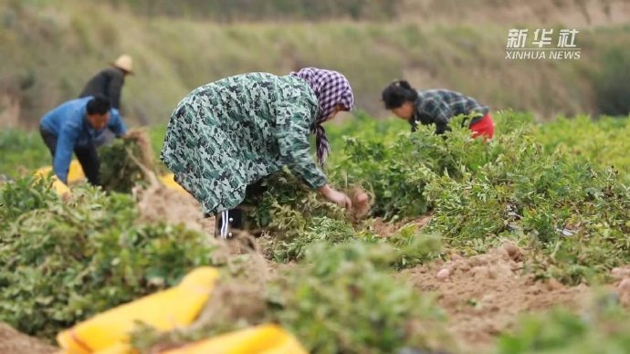 下载土豆客户端吗土豆app聊天软件官方下载